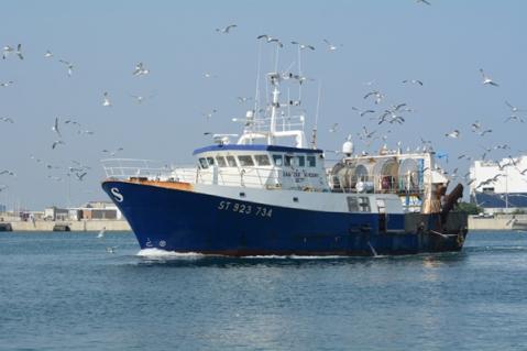 Illustration de l'article Entreprises de pêche : nouvelle période d’aide
