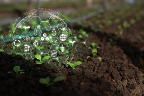 Illustration de l'article Agriculture : qui pilote la stratégie nationale d’installation et de transmission ?