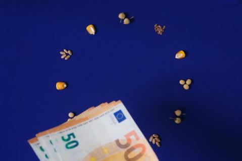Illustration de l'article PAC : mise à jour des règles de conditionnalité pour 2026