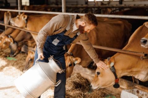 Illustration de l'article Nouvelles mesures fiscales en faveur du secteur agricole : c’est déjà parti ?