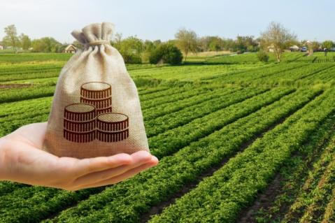 Illustration de l'article Impôts et taxes pour le secteur agricole : ce qui va changer en 2026
