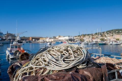 Illustration de l'article Marins de méditerranée : nouvelles mesures d’accompagnement