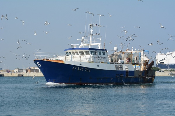 Illustration de l'article Entreprises de pêche : nouvelle période d’aide