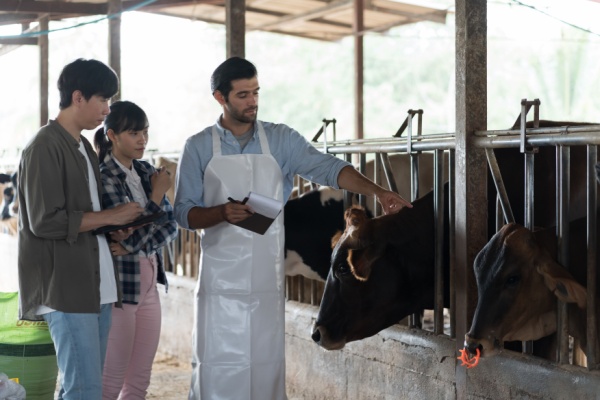 Illustration de l'article Travailleurs agricoles : une nouvelle aide à la promotion collective agricole