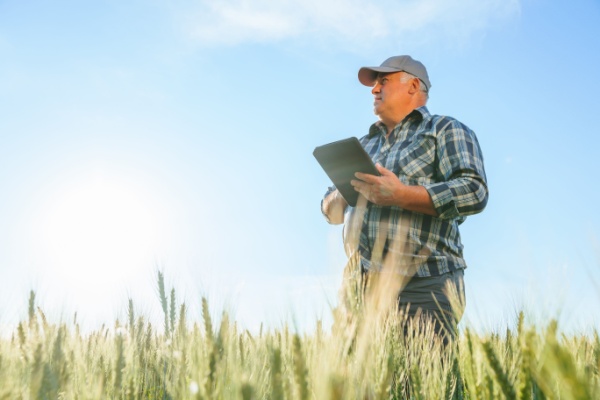 Illustration de l'article Retraite agricole : le point RCO revalorisé en 2025